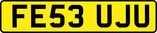 FE53UJU