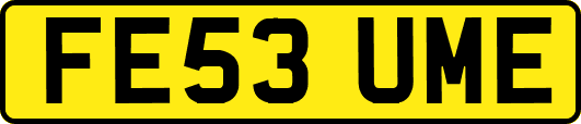 FE53UME