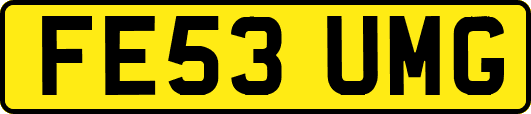 FE53UMG