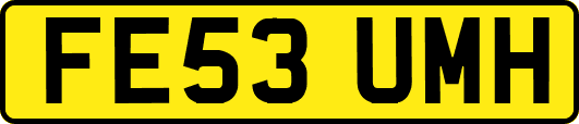 FE53UMH
