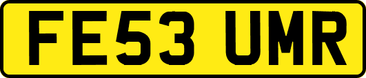 FE53UMR