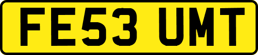 FE53UMT