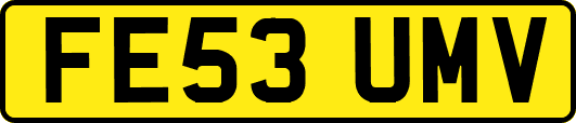 FE53UMV