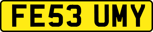FE53UMY