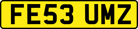 FE53UMZ