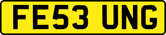 FE53UNG