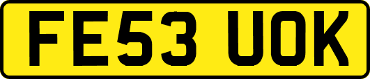 FE53UOK