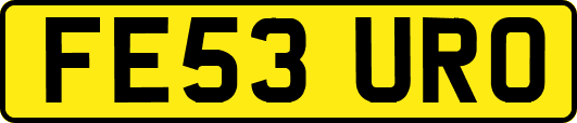 FE53URO
