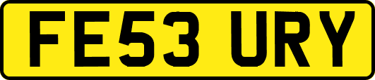 FE53URY