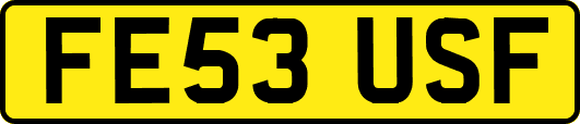 FE53USF