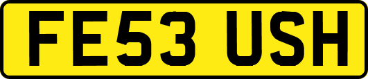 FE53USH