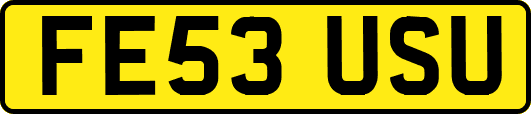 FE53USU