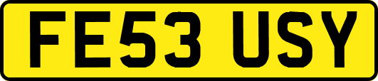 FE53USY