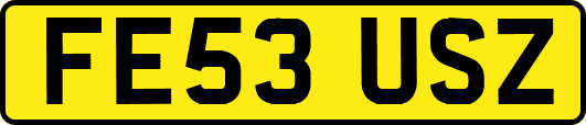 FE53USZ