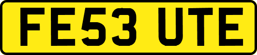 FE53UTE