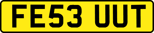 FE53UUT