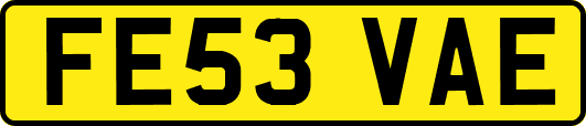 FE53VAE
