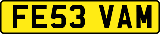 FE53VAM