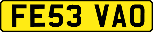 FE53VAO