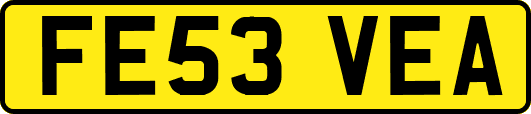 FE53VEA