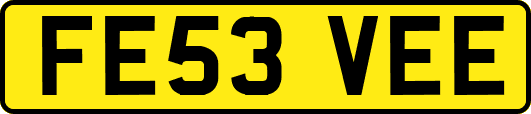 FE53VEE