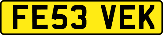 FE53VEK