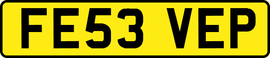 FE53VEP