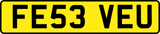 FE53VEU