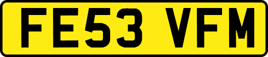 FE53VFM