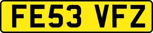 FE53VFZ