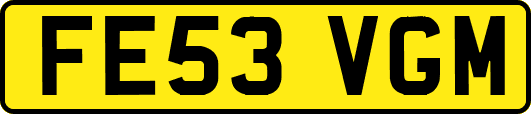 FE53VGM