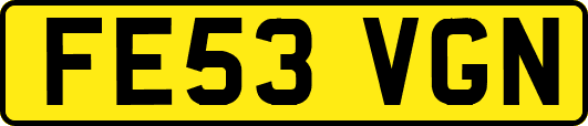 FE53VGN