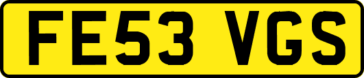 FE53VGS