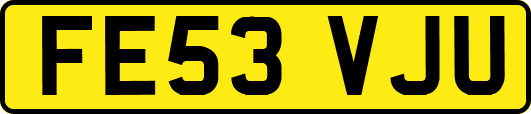 FE53VJU