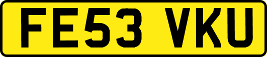FE53VKU
