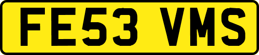 FE53VMS