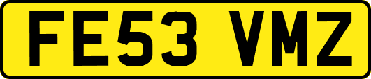 FE53VMZ
