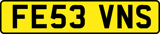 FE53VNS