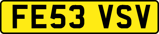 FE53VSV
