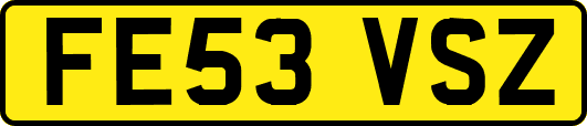 FE53VSZ