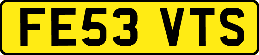 FE53VTS