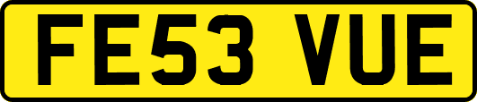 FE53VUE