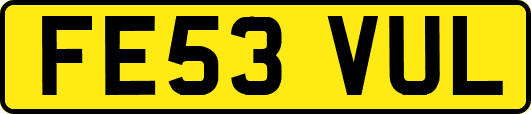 FE53VUL