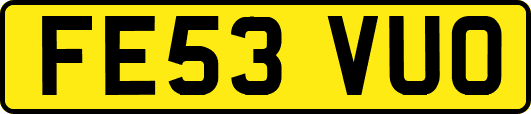 FE53VUO