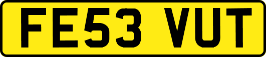 FE53VUT