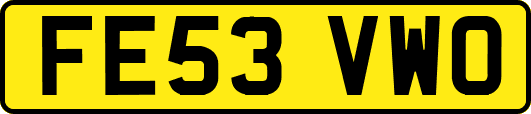 FE53VWO