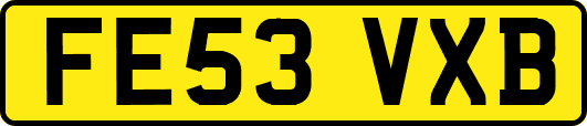 FE53VXB