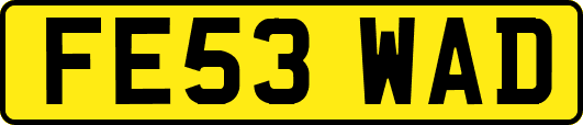 FE53WAD