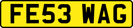 FE53WAG