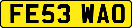 FE53WAO